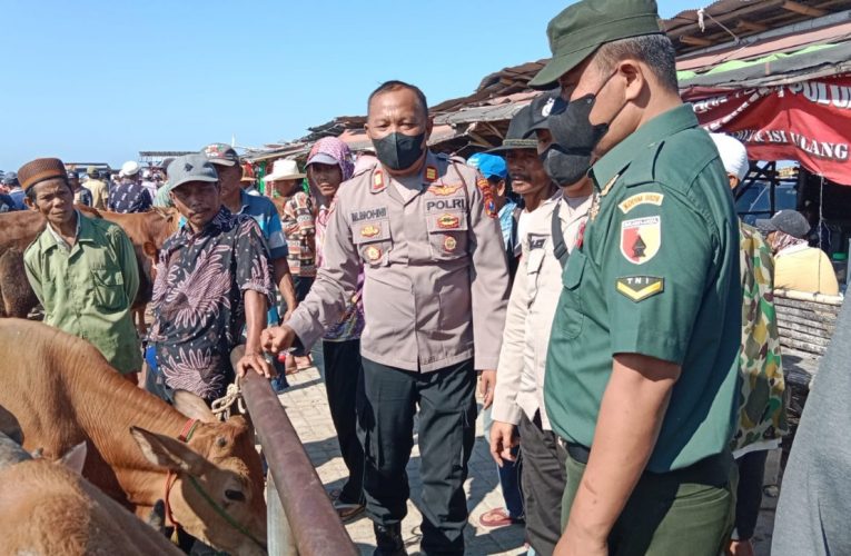 Cegah PMK Polres Sampang Bersama Pukeswan Periksa Hewan Ternak