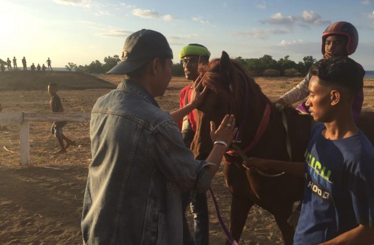 Prima Kencana Sabet Juara I Dalam Turnamen Pacuan Kuda Bupati Cup TTU ke XVIII di Tanjung Bastian
