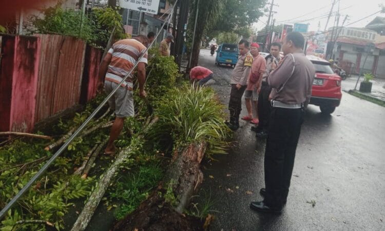 Pohon Tumbang di Jalan Raya, Personil Polresta Manado, Bantu Evakuasi dan Atur Arus Lalu Lintas 